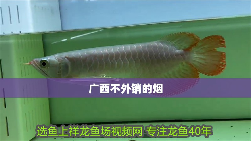 廣西不外銷(xiāo)的煙