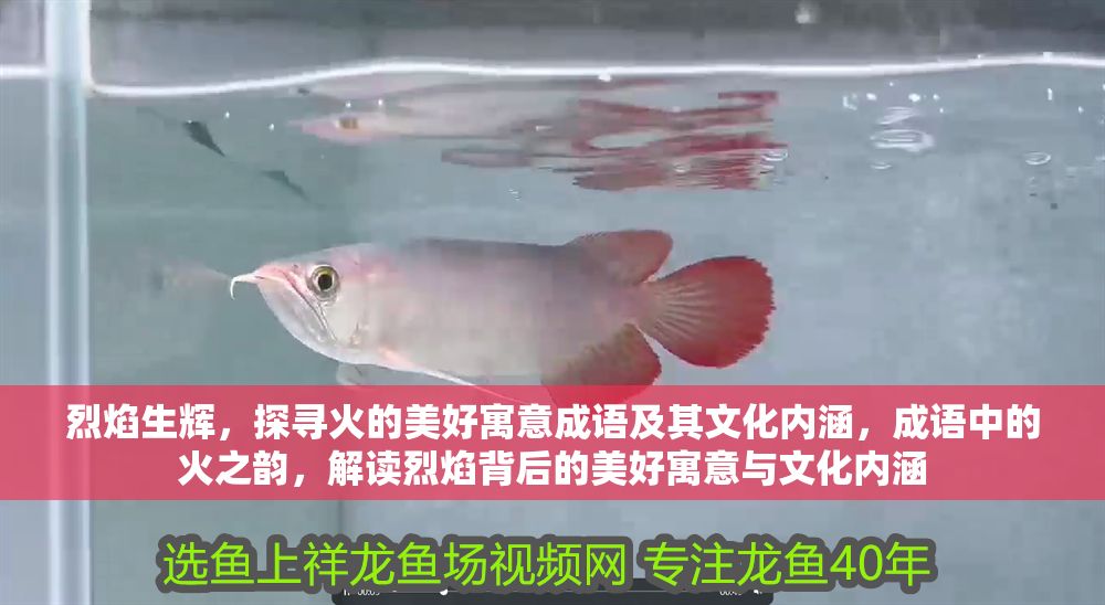 烈焰生輝，探尋火的美好寓意成語及其文化內涵，成語中的火之韻，解讀烈焰背后的美好寓意與文化內涵