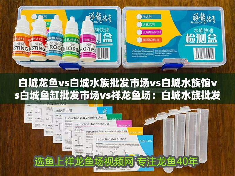 白城龍魚vs白城水族批發市場vs白城水族館vs白城魚缸批發市場vs祥龍魚場：白城水族批發市場