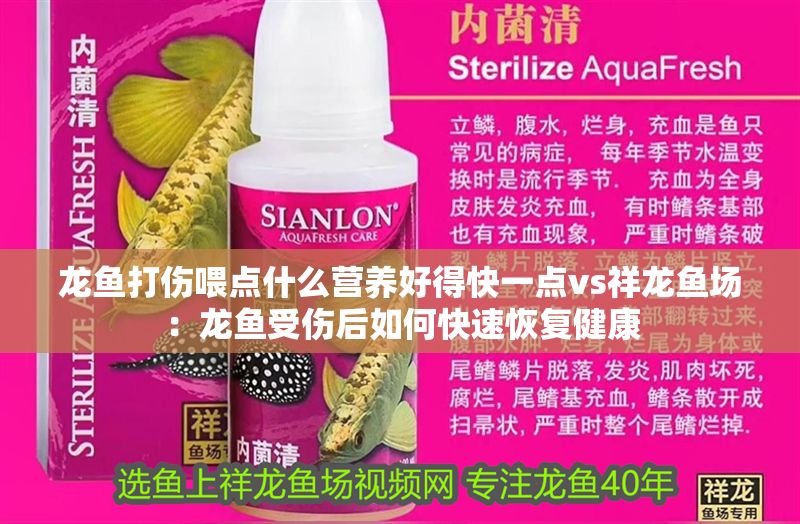 龍魚打傷喂點什么營養好得快一點vs祥龍魚場：龍魚受傷后如何快速恢復健康