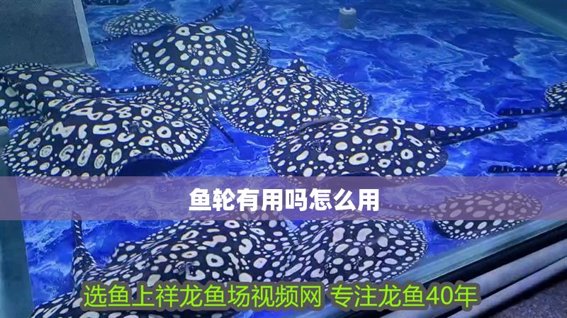 魚輪有用嗎怎么用