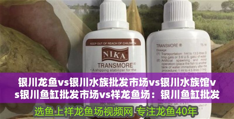 銀川龍魚vs銀川水族批發(fā)市場(chǎng)vs銀川水族館vs銀川魚缸批發(fā)市場(chǎng)vs祥龍魚場(chǎng)：銀川魚缸批發(fā)市場(chǎng)價(jià)格