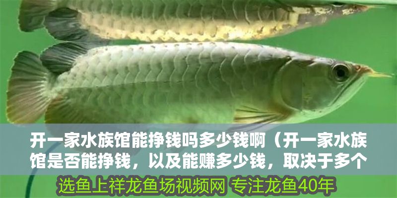 開一家水族館能掙錢嗎多少錢啊（開一家水族館是否能掙錢，以及能賺多少錢，取決于多個因素）