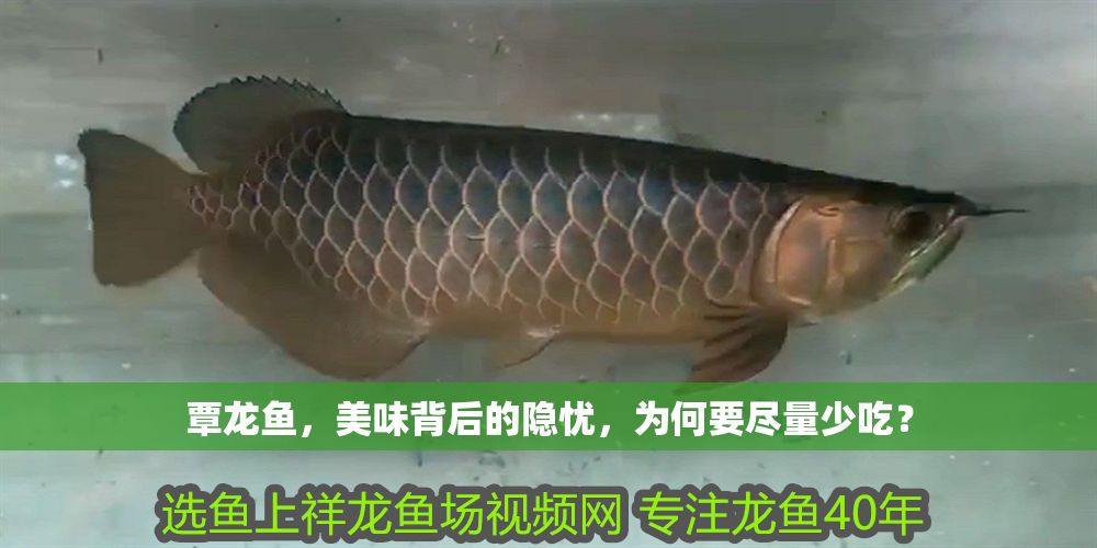 覃龍魚，美味背后的隱憂，為何要盡量少吃？