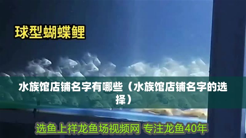 水族館店鋪名字有哪些（水族館店鋪名字的選擇）