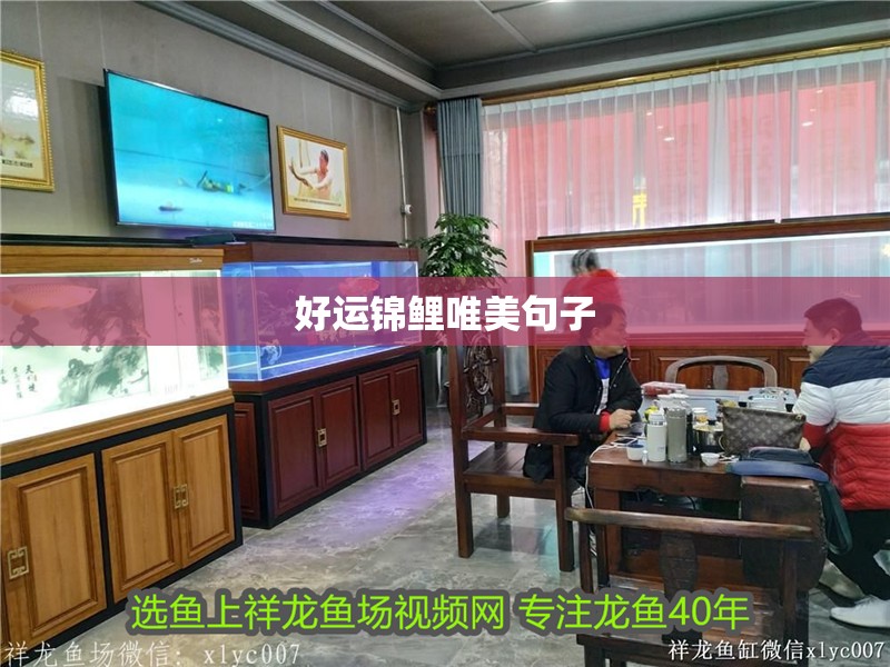 好運錦鯉唯美句子