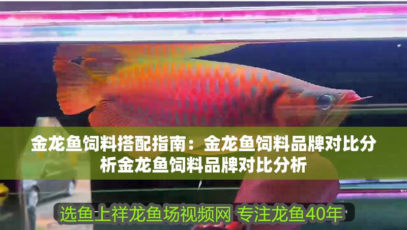 金龍魚飼料搭配指南:金龍魚飼料品牌對比分析金龍魚飼料品牌對比分析 金龍魚百科 第6張 金龍魚飼料搭配指南:金龍魚飼料品牌對比分析金龍魚飼料品牌對比分析 金龍魚飼料搭配指南:金龍魚飼料品牌對比分析金龍魚飼料品牌對比分析 金龍魚百科 第6張