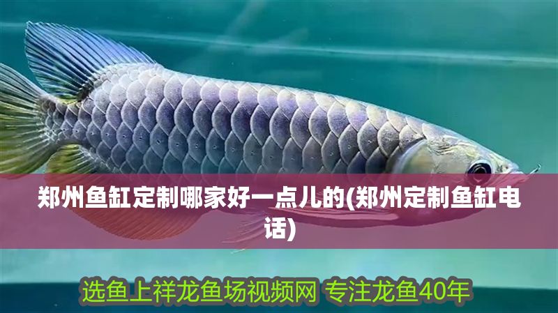 鄭州魚缸定制哪家好一點兒的(鄭州定制魚缸電話)