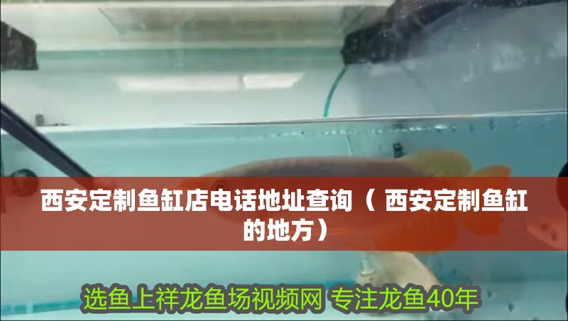 西安定制魚缸店電話地址查詢（ 西安定制魚缸的地方）