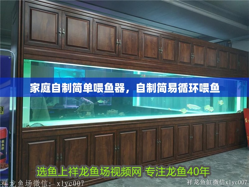 家庭自制簡(jiǎn)單喂魚(yú)器，自制簡(jiǎn)易循環(huán)喂魚(yú)
