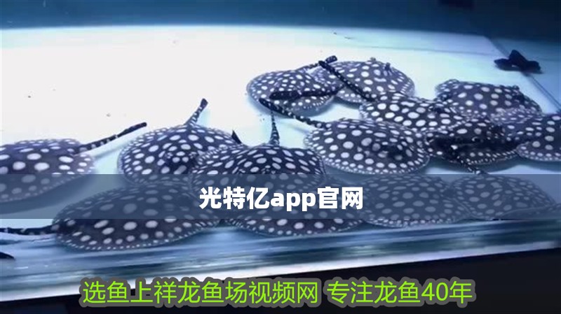 光特億app官網