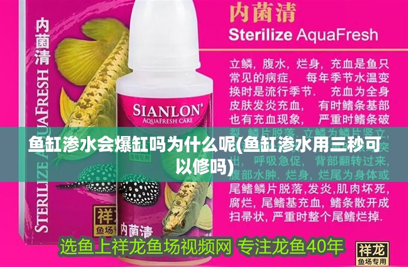 魚缸滲水會爆缸嗎為什么呢(魚缸滲水用三秒可以修嗎)