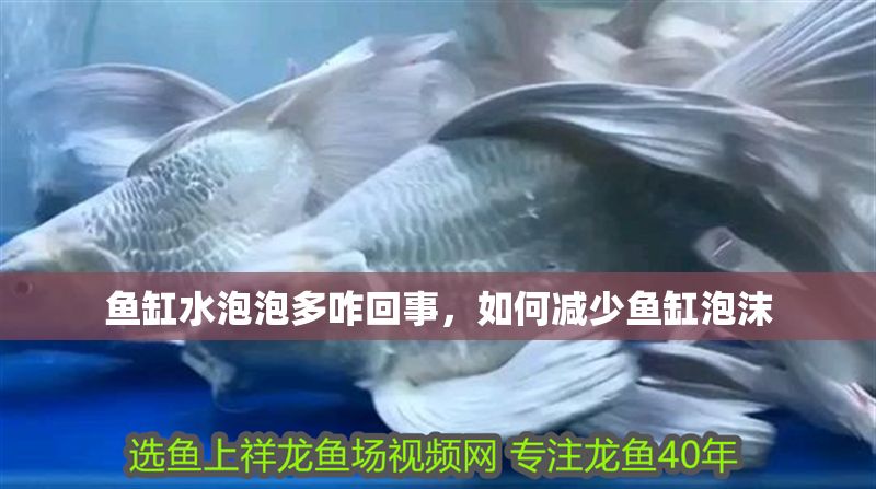 魚缸水泡泡多咋回事，如何減少魚缸泡沫