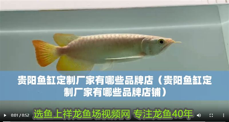 貴陽(yáng)魚(yú)缸定制廠家有哪些品牌店（貴陽(yáng)魚(yú)缸定制廠家有哪些品牌店鋪）