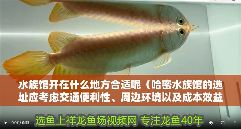 水族館開在什么地方合適呢（哈密水族館的選址應考慮交通便利性、周邊環境以及成本效益）