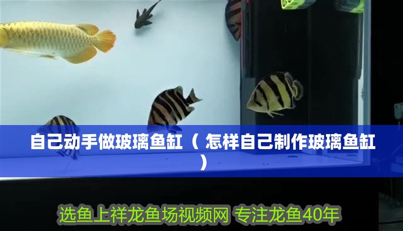 自己動手做玻璃魚缸（ 怎樣自己制作玻璃魚缸）