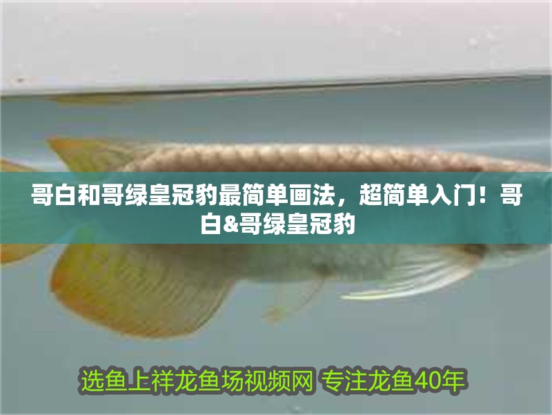 哥白和哥綠皇冠豹最簡單畫法，超簡單入門！哥白&哥綠皇冠豹