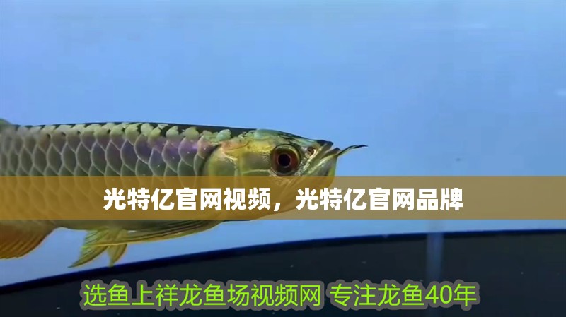 光特億官網(wǎng)視頻，光特億官網(wǎng)品牌