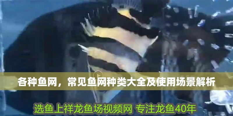 各種魚網，常見魚網種類大全及使用場景解析