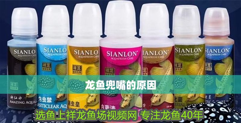 龍魚兜嘴的原因
