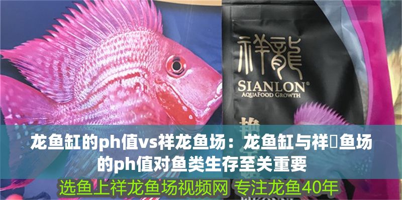 龍魚缸的ph值vs祥龍魚場：龍魚缸與祥龍魚場的ph值對魚類生存至關(guān)重要