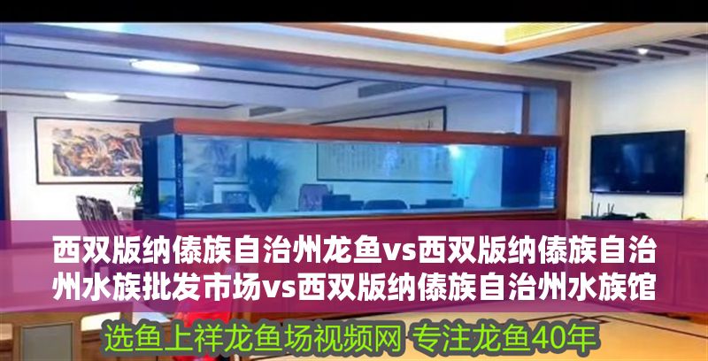 西雙版納傣族自治州龍魚vs西雙版納傣族自治州水族批發市場vs西雙版納傣族自治州水族館vs西雙版納傣族自治州魚缸批發市場vs祥龍魚場：西雙版納傣族自治州龍魚、水族批發市場、水族館、魚缸批發市場及種介紹
