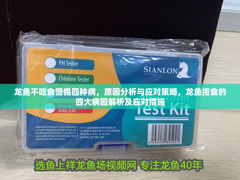 龍魚不吃食警惕四種病，原因分析與應(yīng)對(duì)策略，龍魚拒食的四大病因解析及應(yīng)對(duì)措施
