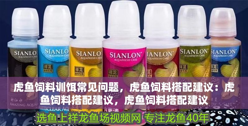 虎魚飼料訓餌常見問題，虎魚飼料搭配建議：虎魚飼料搭配建議，虎魚飼料搭配建議