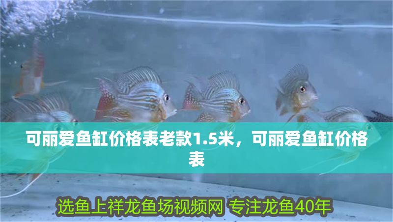 可麗愛魚缸價格表老款1.5米，可麗愛魚缸價格表