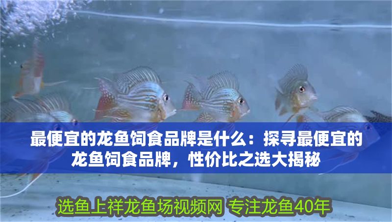 最便宜的龍魚飼食品牌是什么：探尋最便宜的龍魚飼食品牌，性價比之選大揭秘