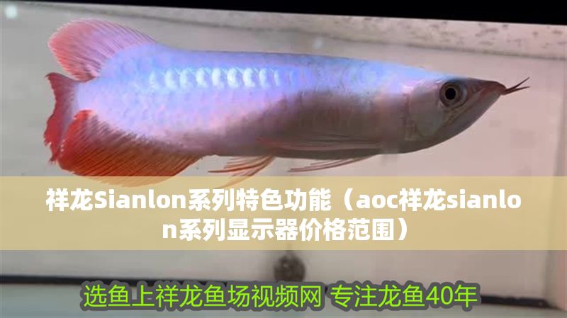 祥龍Sianlon系列特色功能（aoc祥龍sianlon系列顯示器價(jià)格范圍）