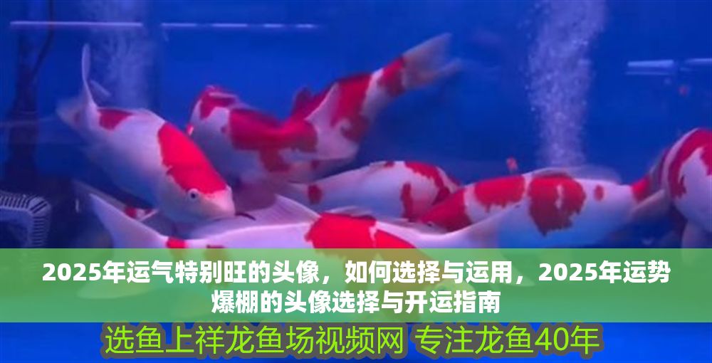 2025年運氣特別旺的頭像，如何選擇與運用，2025年運勢爆棚的頭像選擇與開運指南