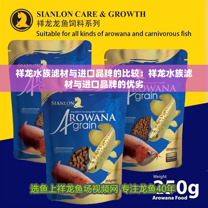 祥龍水族濾材與進口品牌的比較：祥龍水族濾材與進口品牌的優劣