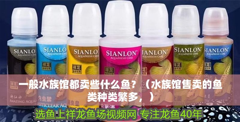 一般水族館都賣些什么魚？（水族館售賣的魚類種類繁多，）