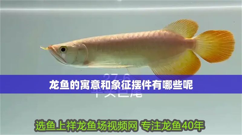 龍魚的寓意和象征擺件有哪些呢