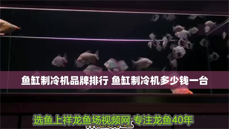 魚缸制冷機品牌排行 魚缸制冷機多少錢一臺