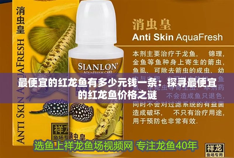 最便宜的紅龍魚有多少元錢一條：探尋最便宜的紅龍魚價格之謎