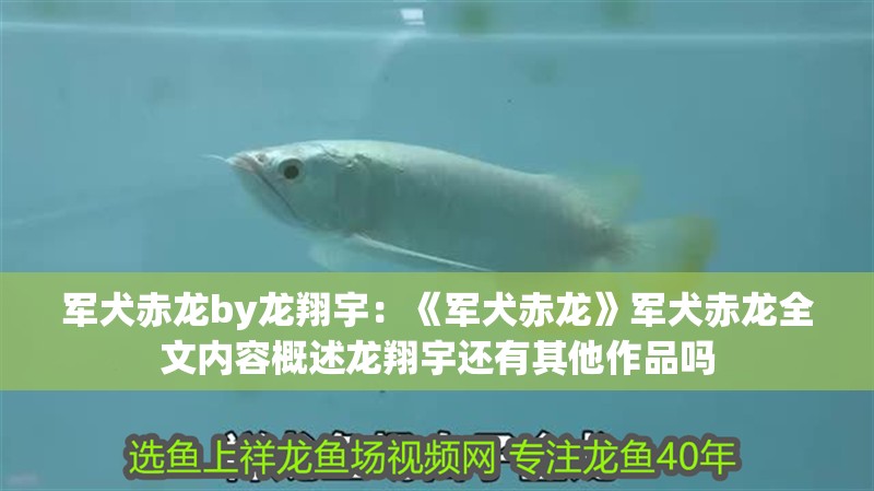 軍犬赤龍by龍翔宇：《軍犬赤龍》軍犬赤龍全文內(nèi)容概述龍翔宇還有其他作品嗎