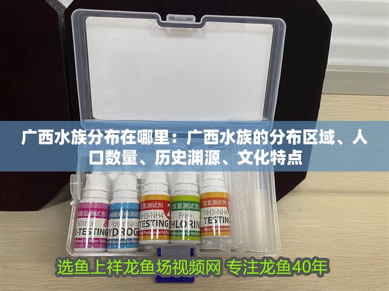 廣西水族分布在哪里：廣西水族的分布區(qū)域、人口數(shù)量、歷史淵源、文化特點(diǎn)