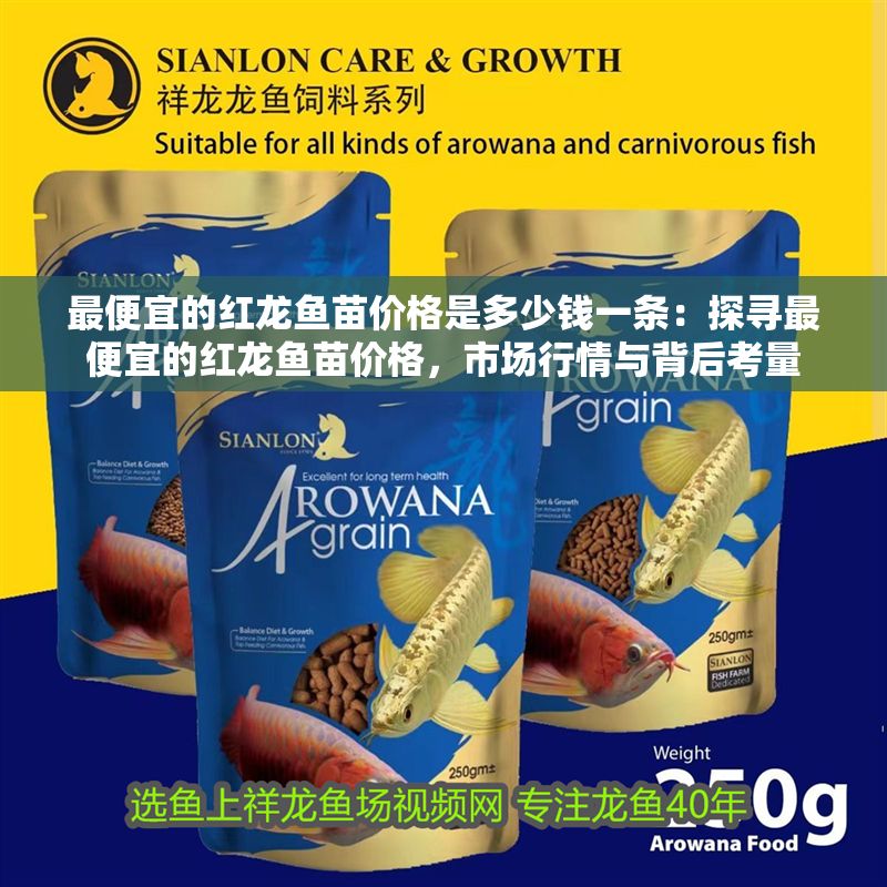 最便宜的紅龍魚苗價格是多少錢一條：探尋最便宜的紅龍魚苗價格，市場行情與背后考量
