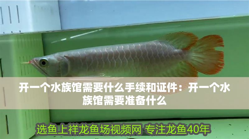 開一個水族館需要什么手續和證件：開一個水族館需要準備什么