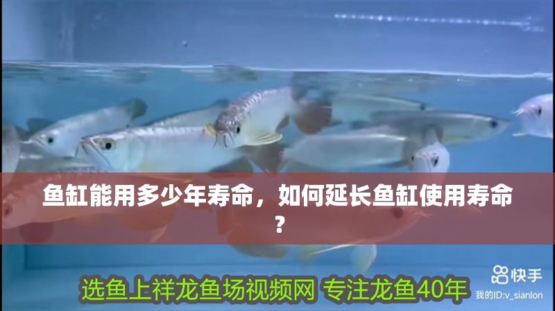 魚(yú)缸能用多少年壽命，如何延長(zhǎng)魚(yú)缸使用壽命？