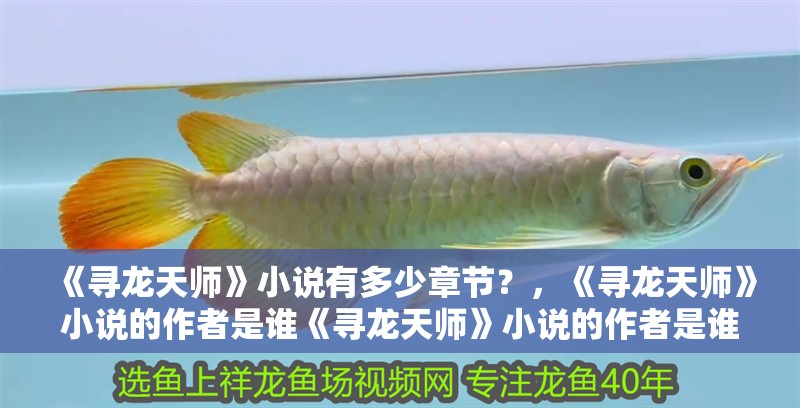《尋龍天師》小說有多少章節？，《尋龍天師》小說的作者是誰《尋龍天師》小說的作者是誰