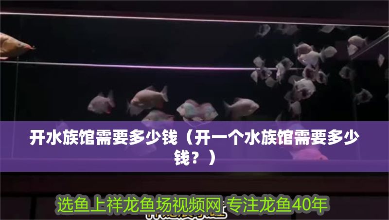 開水族館需要多少錢（開一個水族館需要多少錢？）
