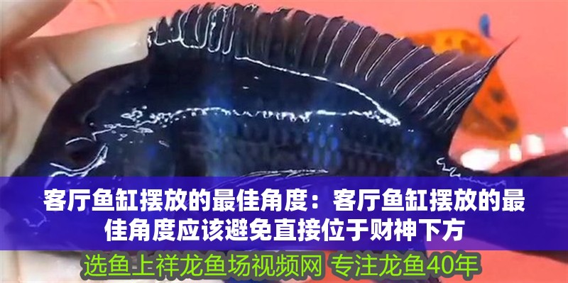 客廳魚缸擺放的最佳角度：客廳魚缸擺放的最佳角度應該避免直接位于財神下方