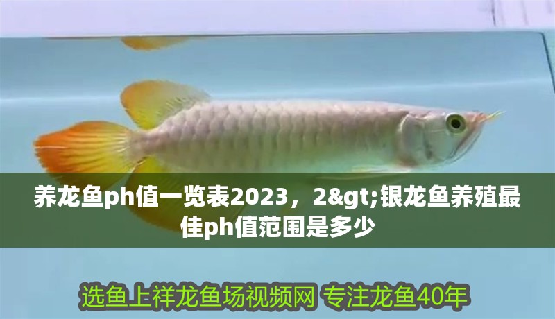 養龍魚ph值一覽表2023，2>銀龍魚養殖最佳ph值范圍是多少