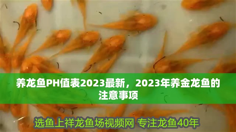養(yǎng)龍魚PH值表2023最新，2023年養(yǎng)金龍魚的注意事項