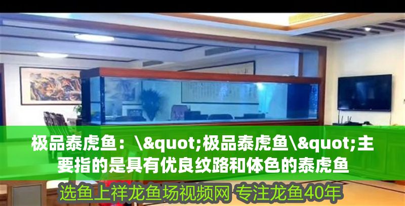 極品泰虎魚：\"極品泰虎魚\"主要指的是具有優良紋路和體色的泰虎魚