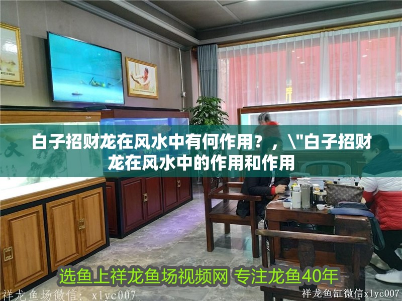 白子招財(cái)龍?jiān)陲L(fēng)水中有何作用？，\