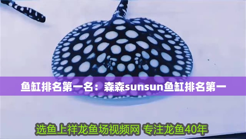 魚缸排名第一名：森森sunsun魚缸排名第一